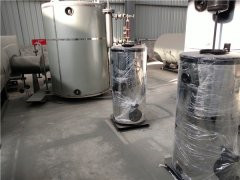 天然气低氮蒸汽锅炉