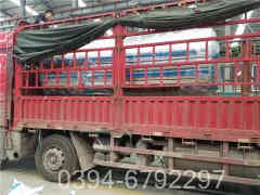 6吨热水锅炉报价