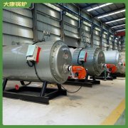 中国0.5t低氮导热油炉