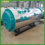 广东0.1吨液化气热水锅炉