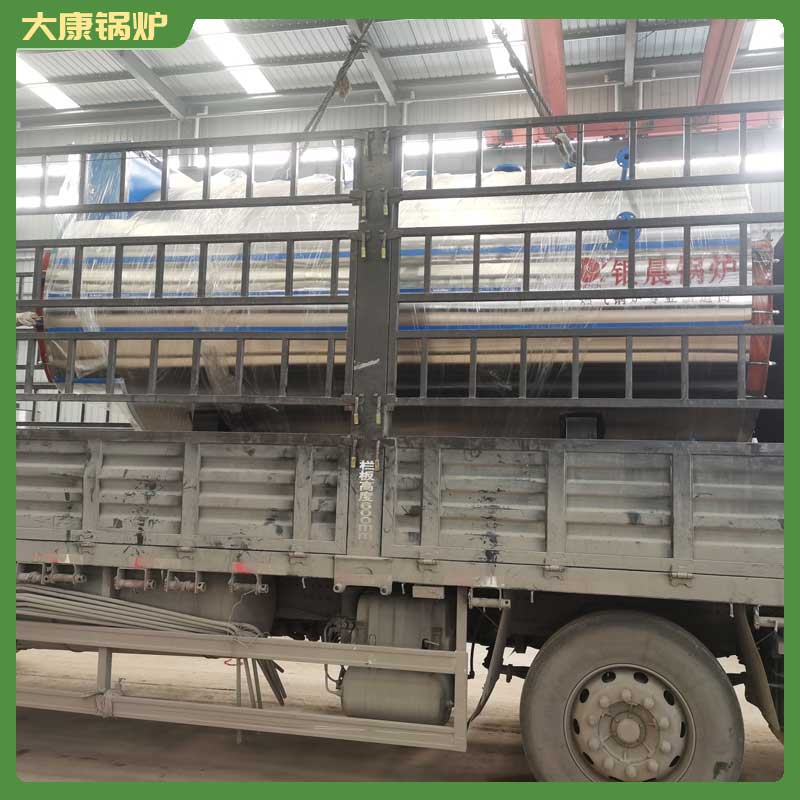 12吨生物锅炉