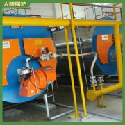 湖南10500kw冷凝导热油炉