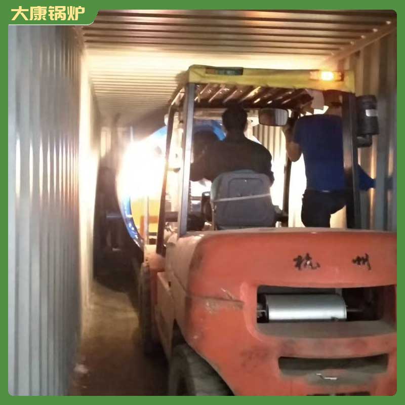 30万导热油锅炉大康锅炉0.8吨燃煤锅炉