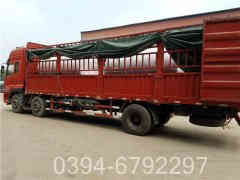 锅炉放不出热水