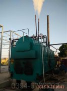 二十吨蒸汽锅炉