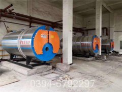 600万大卡低氮锅炉