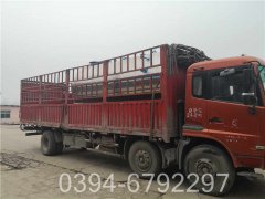 洗浴专用热水锅炉价格