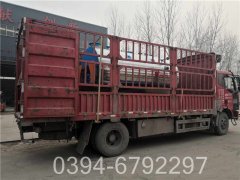 屠宰设备配套河南锅炉WNS型500公斤蒸发量燃气锅炉