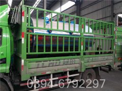 12吨低氮燃气锅炉