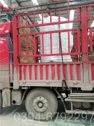 小型浴池用锅炉