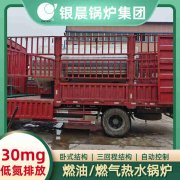 15吨节能蒸汽锅炉银晨锅炉