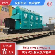 别墅用燃气锅炉