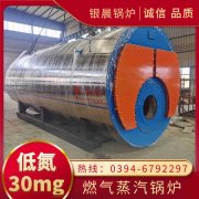 商用直流式燃气锅炉